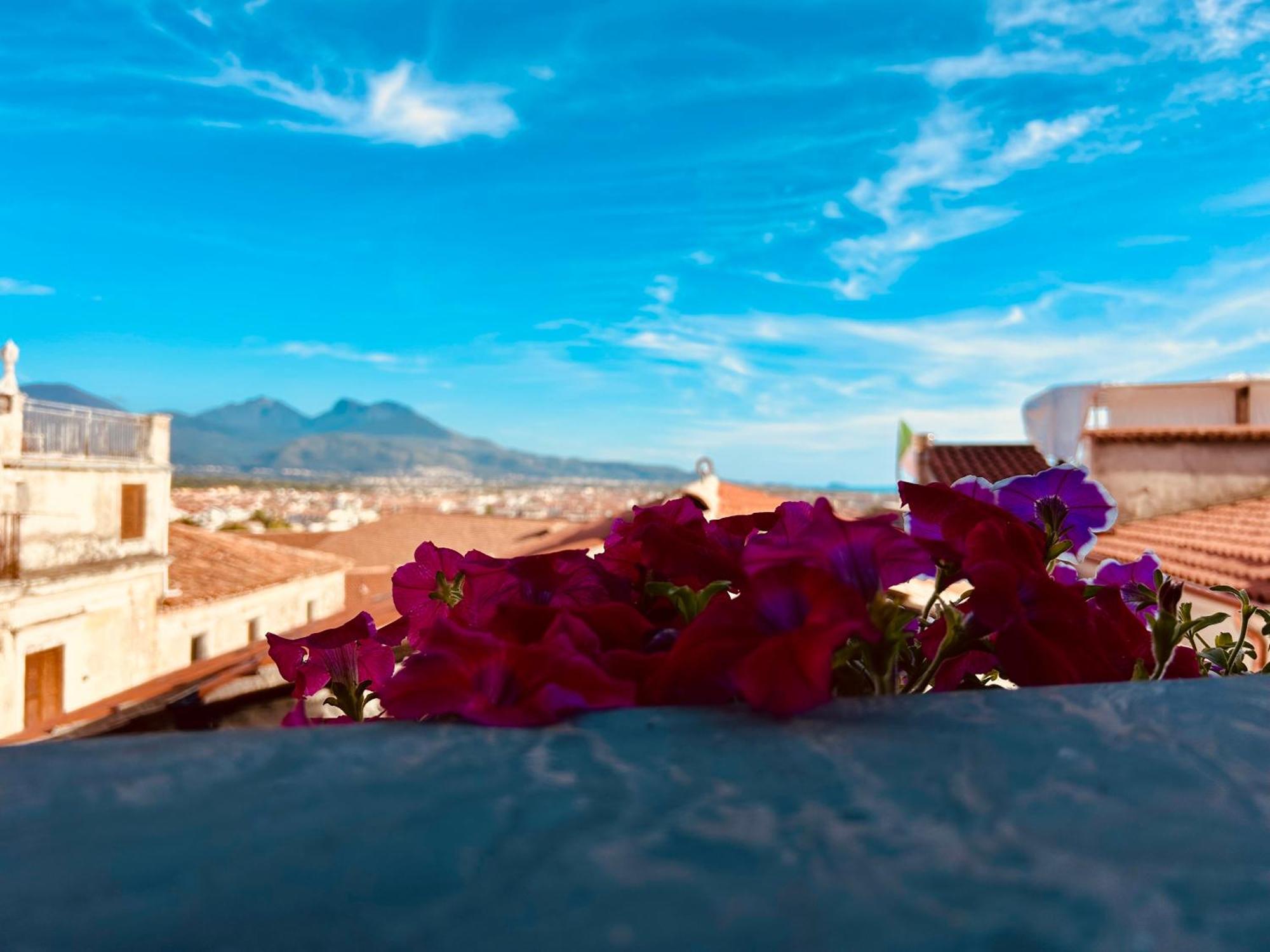 Casa Vacanze Irene Scalea Luaran gambar